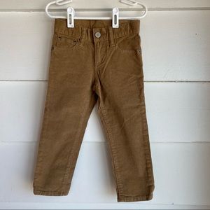 Gap Brown Cuorduroy Pants